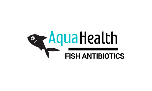 Fish Antibiotics
