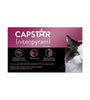 Capstar Purple Cat