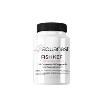 Fish Cephalexin