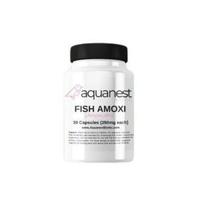 Fish Amoxicillin