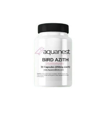 Bird Azithromycin